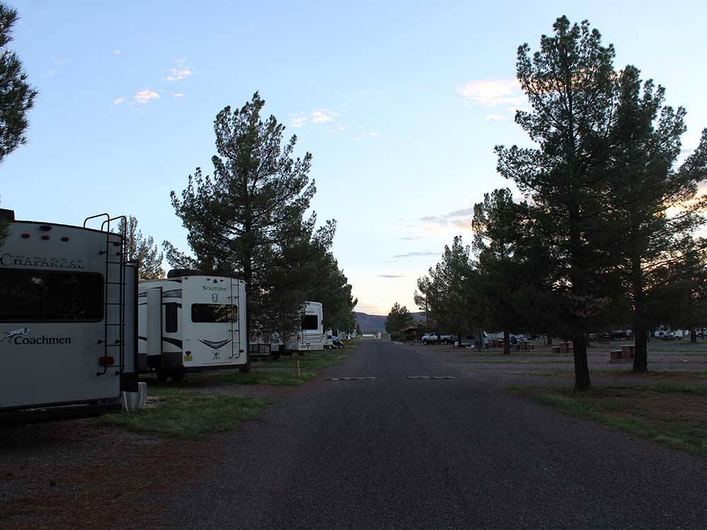 A long gravel road lined with trees at LOST ALASKAN RV PARK
