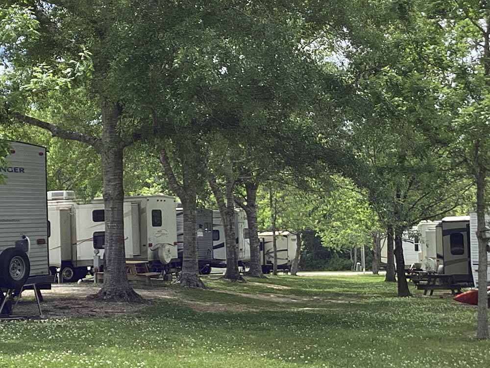 Looking down a row of trees and RV sites at COUNTRY SIDE RV PARK