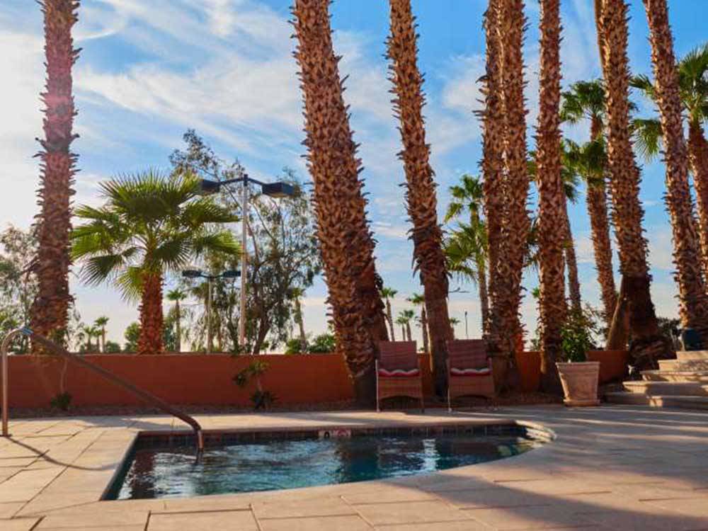 Jacuzzi surrounded by palm trees at GOLD CANYON RV & GOLF RESORT