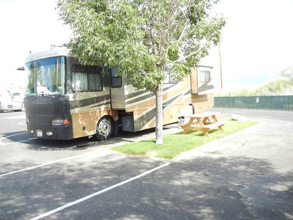 A motorhome parked under a tree with a picnic table at GOLD DUST WEST CASINO & RV PARK