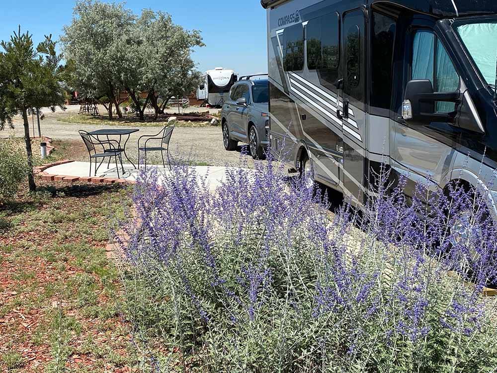 A lavender bush next to a RV site at SANTA FE SKIES RV PARK