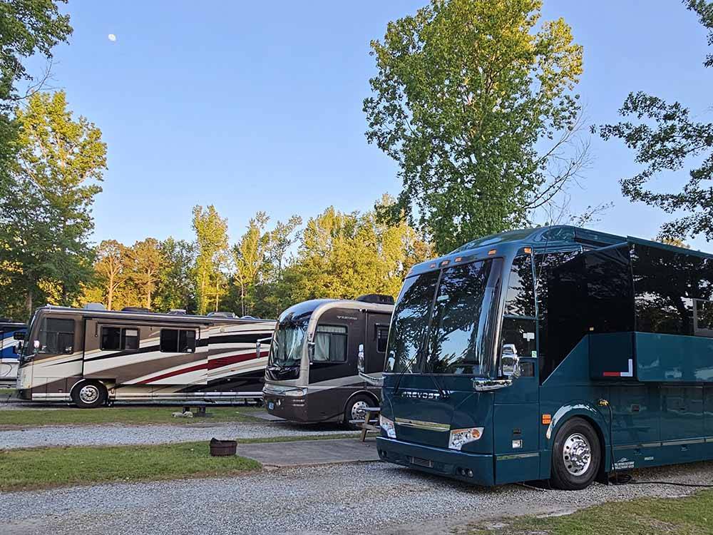 A row of motorhomes in gravel sites at LAKE PINES RV PARK & CAMPGROUND