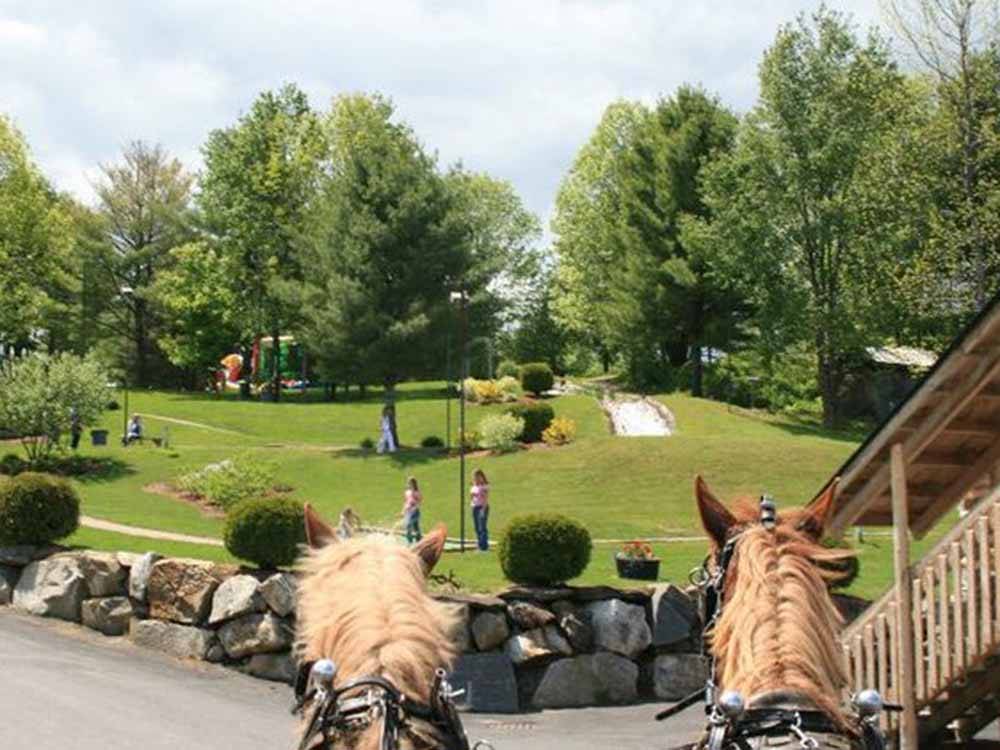 Two horses overlooking the golf course at SUGAR RIDGE RV VILLAGE & CAMPGROUND