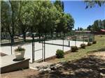 The fenced in pickleball court at OASIS DURANGO RV RESORT - thumbnail