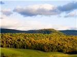 Forest of trees with rolling hills at PINE LAKE RV RESORT & COTTAGES - thumbnail