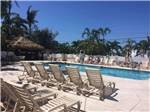 Swimming pool with outdoor seating at BOYD'S KEY WEST CAMPGROUND - thumbnail