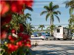 RVs and truck and trailers camping at BOYD'S KEY WEST CAMPGROUND - thumbnail