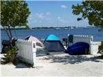 Tents at campsites on the lake at BOYD'S KEY WEST CAMPGROUND - thumbnail