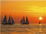Sail boats cruising on the ocean with glowing orange sunset in background at BOYD'S KEY WEST CAMPGROUND - thumbnail