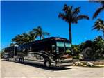 RV pulling trailer at BOYD'S KEY WEST CAMPGROUND - thumbnail