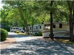RVs parked next to each other on paved pathway at MISTY MOUNTAIN CAMP RESORT - thumbnail