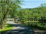Paved road and creek near wooded area at MISTY MOUNTAIN CAMP RESORT - thumbnail