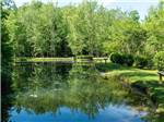 Reflection of wooded area in still waters at MISTY MOUNTAIN CAMP RESORT - thumbnail