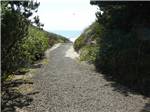 Walking path to beach at SEA & SAND RV PARK - thumbnail