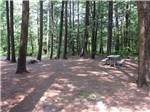 Picnic table in the woods at WAKEDA CAMPGROUND - thumbnail