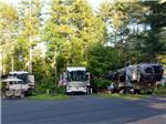A row of tree lined RV sites at WAKEDA CAMPGROUND - thumbnail