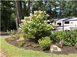 A planter with shrubs and a small American flag at WAKEDA CAMPGROUND - thumbnail