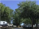 Blue sky, shady trees and campers in campsites at BEYONDER GETAWAY AT SLEEPY HOLLOW - thumbnail