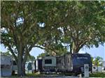 RVs parked under large trees at KISSIMMEE RV PARK - thumbnail