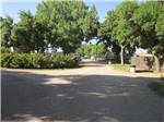 Campground with large green trees and shrubbery at HOLIDAY RV PARK & CAMPGROUND - thumbnail