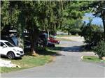 A row of tree lined RV sites at CAPE ANN CAMP SITE - thumbnail