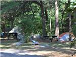 One of the tent sites at CAPE ANN CAMP SITE - thumbnail