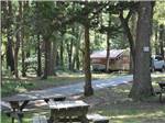 Some of the wooded sites at CAPE ANN CAMP SITE - thumbnail