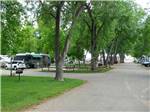 RVs parked at campground at LOVELAND RV RESORT - thumbnail
