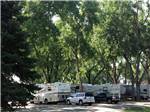 White SUV and black truck parked near RVs and trailers camping at LOVELAND RV RESORT - thumbnail