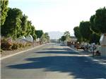 Street with trailers and trees on either side at ENCORE DESERT PARADISE - thumbnail