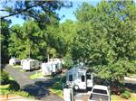 White travel trailers camping at campsite and green trees at AMERICAN HERITAGE RV PARK - thumbnail