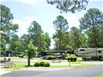 RVs and truck and trailers camping at AMERICAN HERITAGE RV PARK - thumbnail