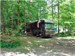 A motorhome in a wooded campsite at MT. GREYLOCK CAMPSITE PARK - thumbnail