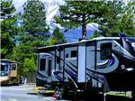 Fifth-wheel on paved site near fir trees at FRIENDLY RV PARK - thumbnail