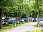 RVs and truck and trailers camping at PATTEN POND CAMPING RESORT - thumbnail