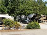 Travel trailers backed in at paved sites at RUTLEDGE LAKE RV RESORT - thumbnail