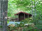 One of the rustic rental cabins at MAMA GERTIE'S HIDEAWAY CAMPGROUND - thumbnail