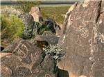 Markings on rocks nearby at WHITE SANDS MANUFACTURED HOME AND RV COMMUNITY - thumbnail