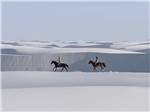 Two people riding horses on a white dune at WHITE SANDS MANUFACTURED HOME AND RV COMMUNITY - thumbnail