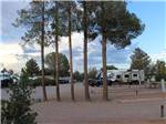 Travel trailers parked in back in sites at SUNNY ACRES RV PARK - thumbnail