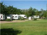 A row of trailers parked in pull thrus at SUNNY ACRES RV PARK - thumbnail