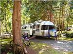 Shiny vintage trailer parked near pine trees and bicycle at TALL CHIEF CAMPGROUND - thumbnail