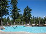 Kids swimming in pool at TALL CHIEF CAMPGROUND - thumbnail