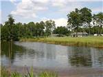A green area by the water at CECIL BAY RV PARK - thumbnail