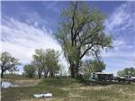 A large tree next to an RV site at I-80 LAKESIDE CAMPGROUND - thumbnail