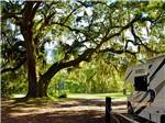 A RV hooked up at a site under a live oak tree at RED GATE FARMS - RV RESORT - thumbnail