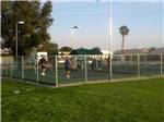 Mini tennis courts at INDIAN WATERS RV RESORT & COTTAGES - thumbnail