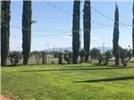 Grassy area with lights at THE RV PARK AT THE PIMA COUNTY FAIRGROUNDS - thumbnail