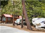 RV, trailer and cabin at THOUSAND TRAILS IDYLLWILD - thumbnail