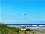 Kid flying kite on the beach at THOUSAND TRAILS LONG BEACH - thumbnail